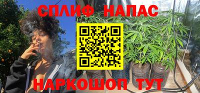 крисы Можайск